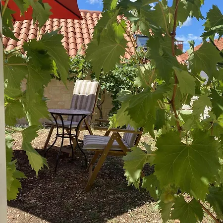 House Little Flower 2