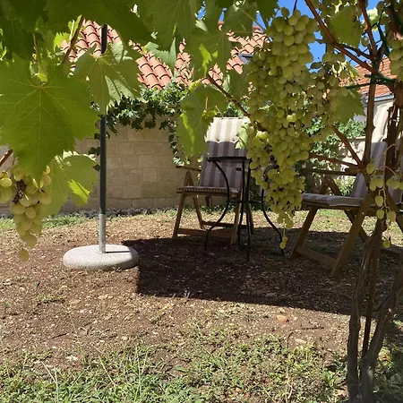 House Little Flower 2 *