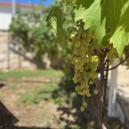 Casa de Férias House Little Flower 2 Trogir