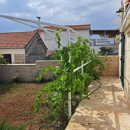 House Little Flower 2