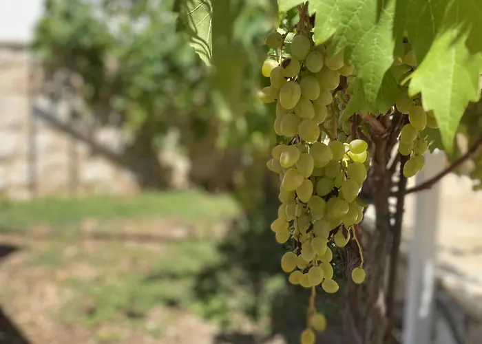 Vakantiehuis House Little Flower 2 Trogir